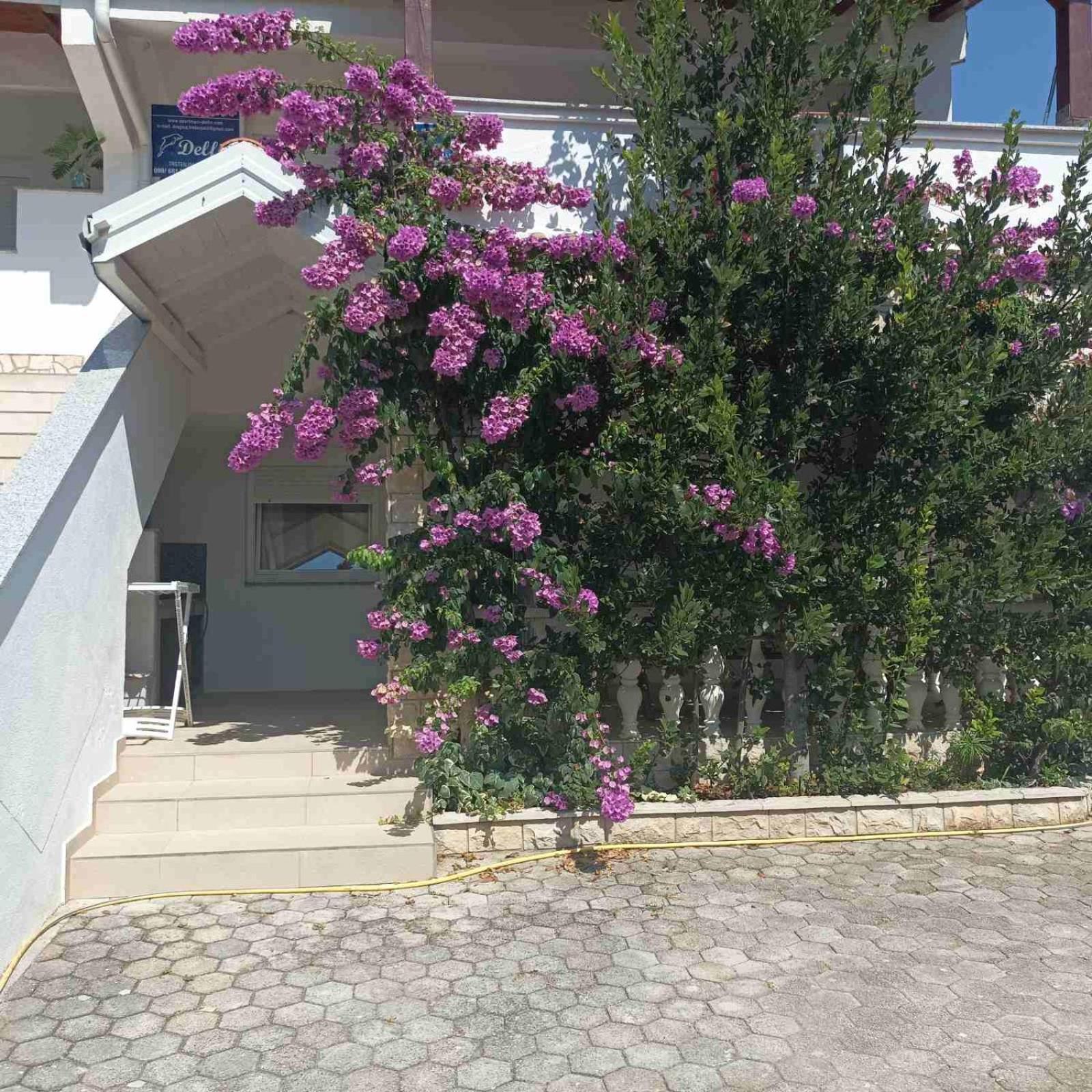 Apartments Vir Delfin Dış mekan fotoğraf