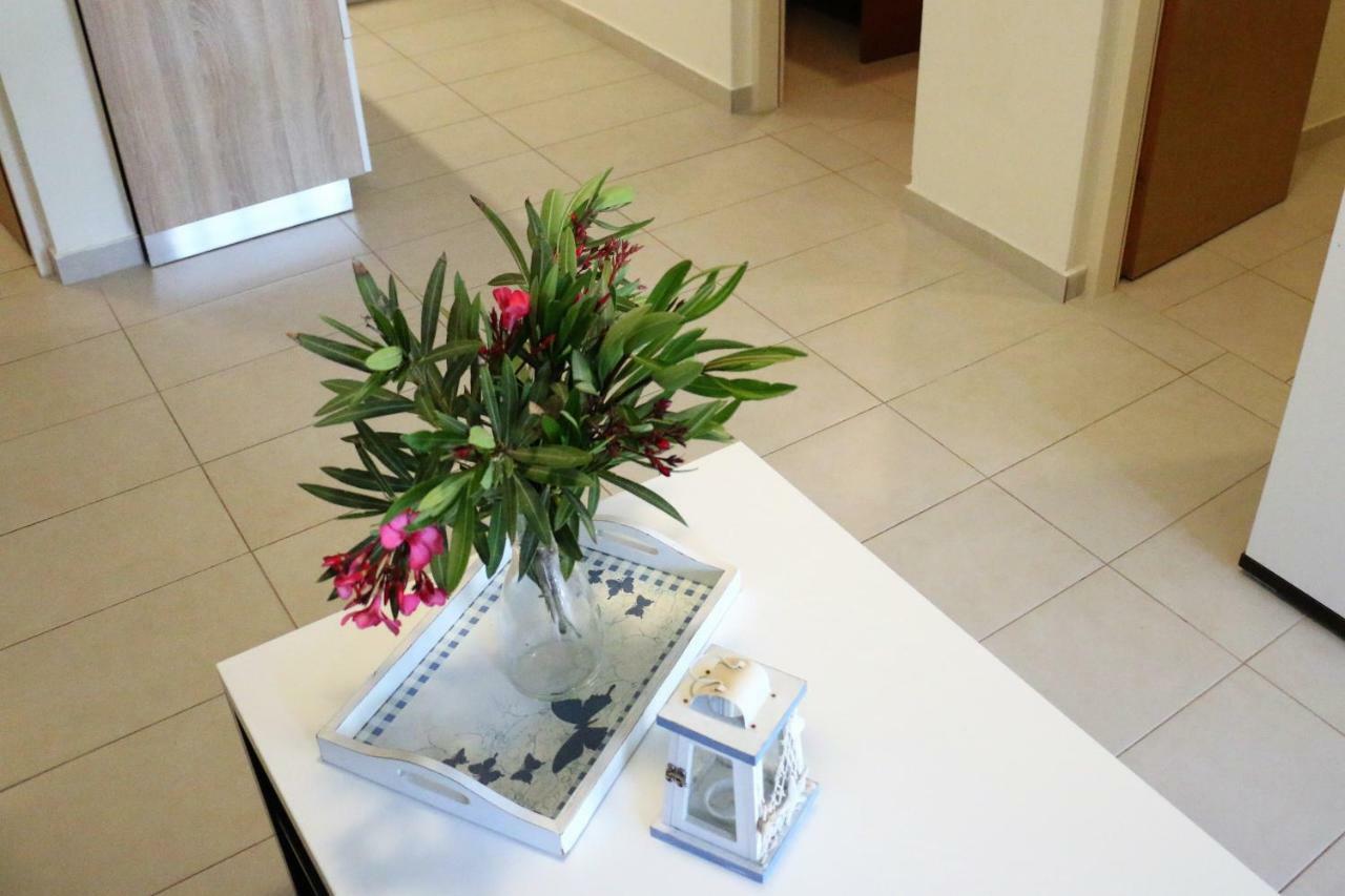 Apartments Vir Delfin Dış mekan fotoğraf