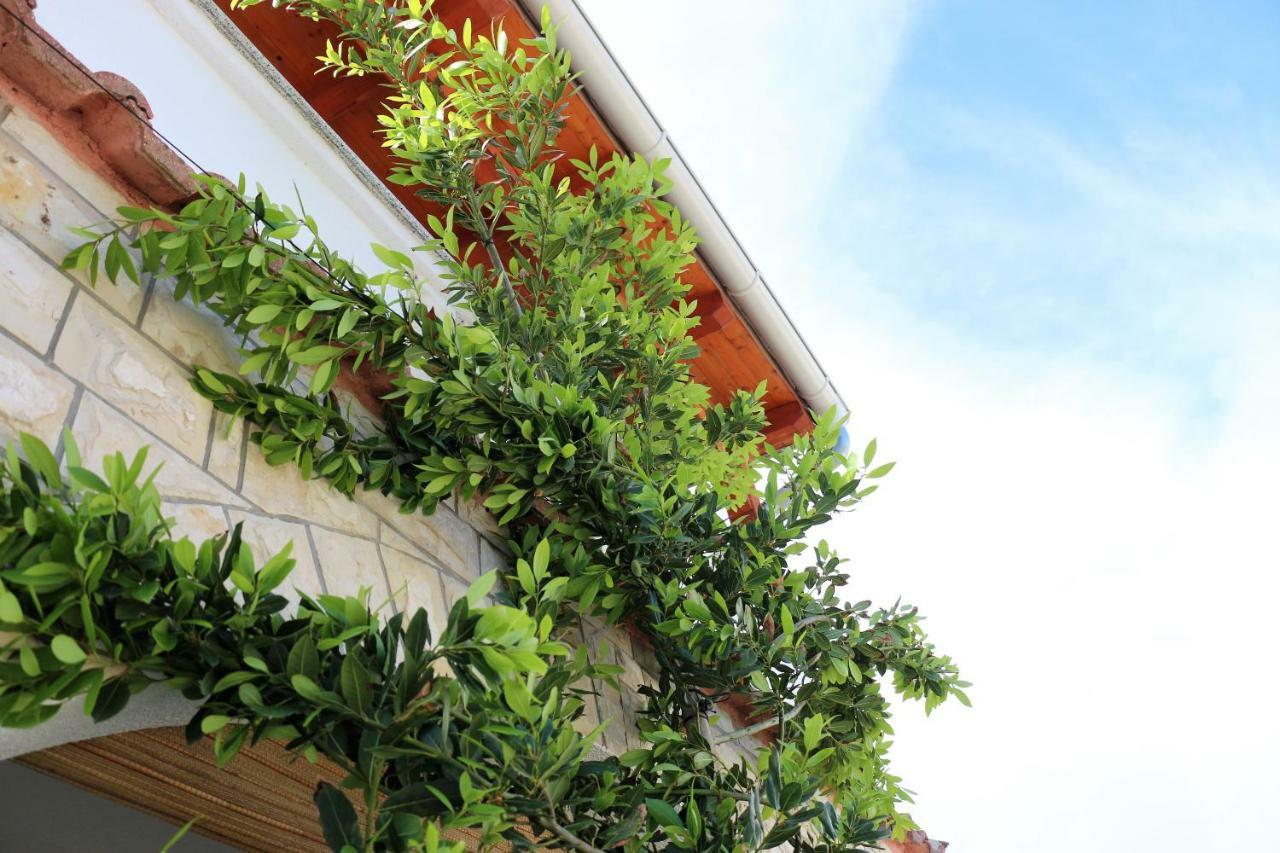 Apartments Vir Delfin Dış mekan fotoğraf