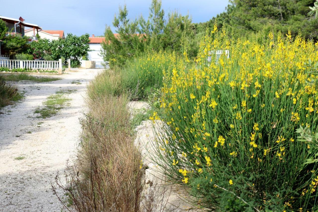 Apartments Vir Delfin Dış mekan fotoğraf